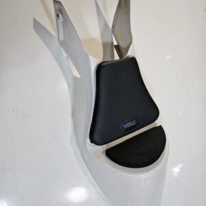 Tyga RGV 250 Complete rear tailpiece